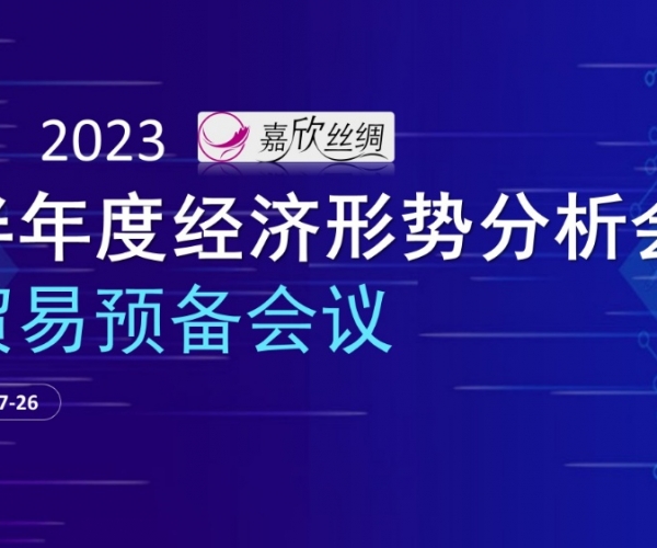 业务总额不变，业务质量提升 尊龙集团官网丝绸召开2023半年度经济局势分析会业务预备会议