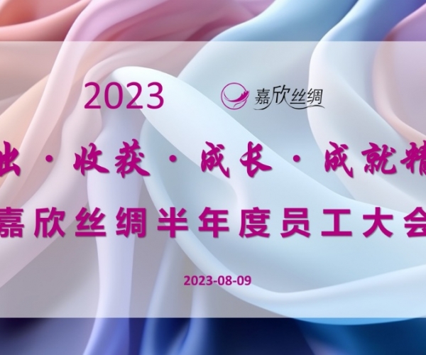 尊龙集团官网丝绸召开2023半年度员工大会