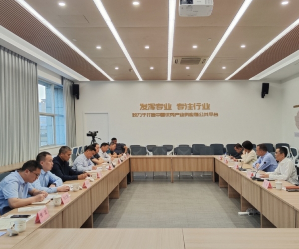 ?广西河池市委书记秦春成辅导一行光临调研