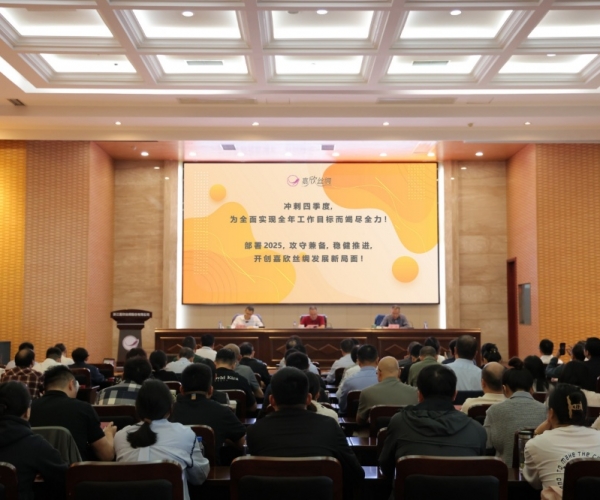 尊龙集团官网丝绸2024年三季度经济局势分析会顺利召开