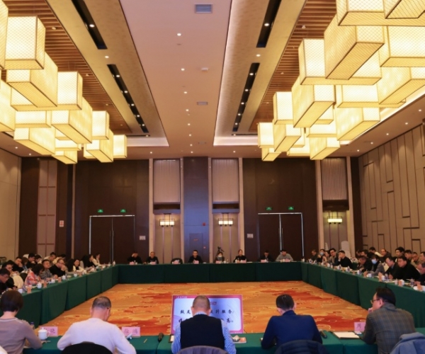 奋进2025丨尊龙集团官网丝绸工贸发展会议聚焦新程