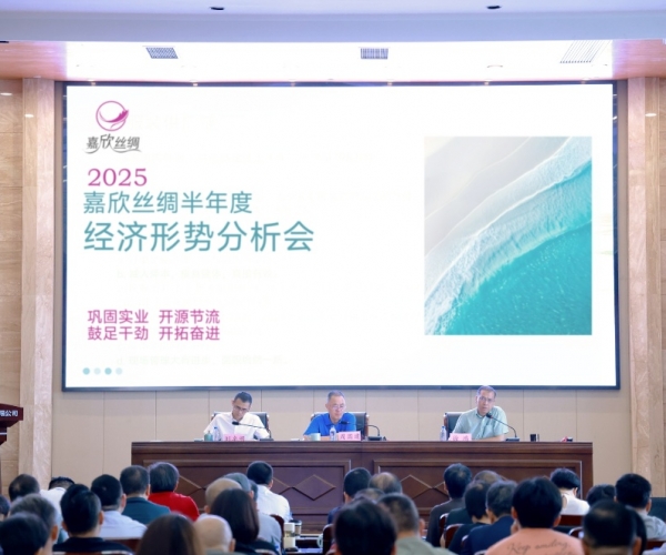 尊龙集团官网丝绸2025半年度经济局势分析会顺利召开