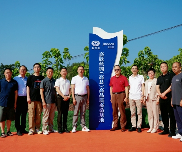 尊龙集团官网丝绸（高县）高品质蚕；卣浇遗疲